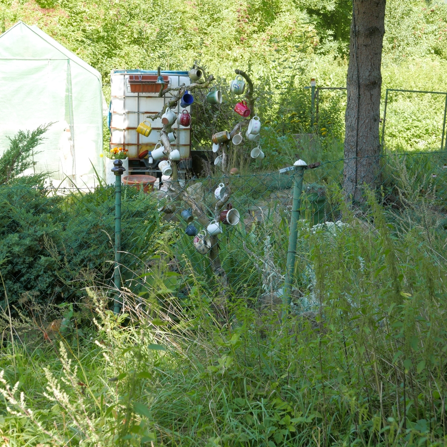 P1010369n.jpg