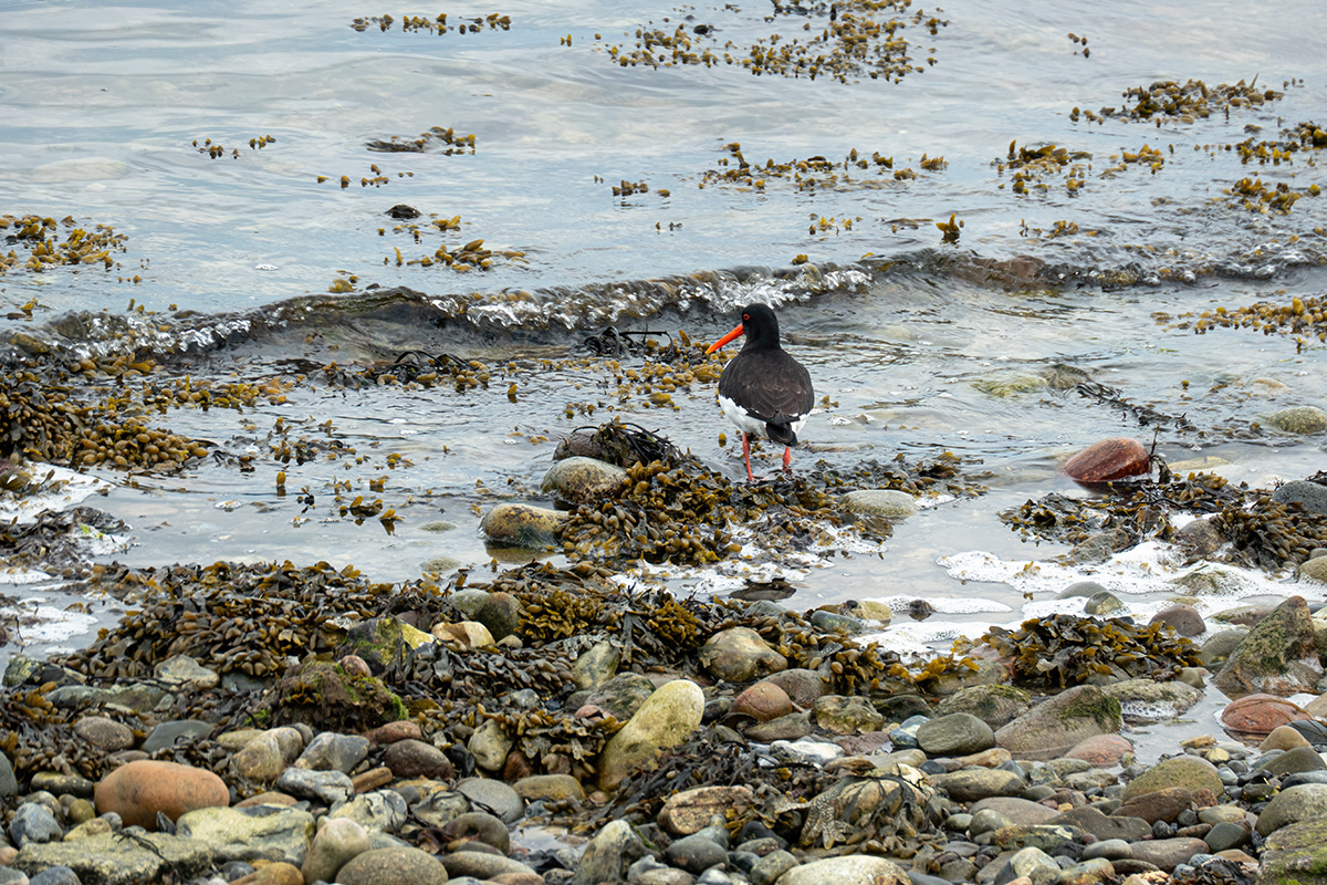 P1010426-Bearbeitet.jpg