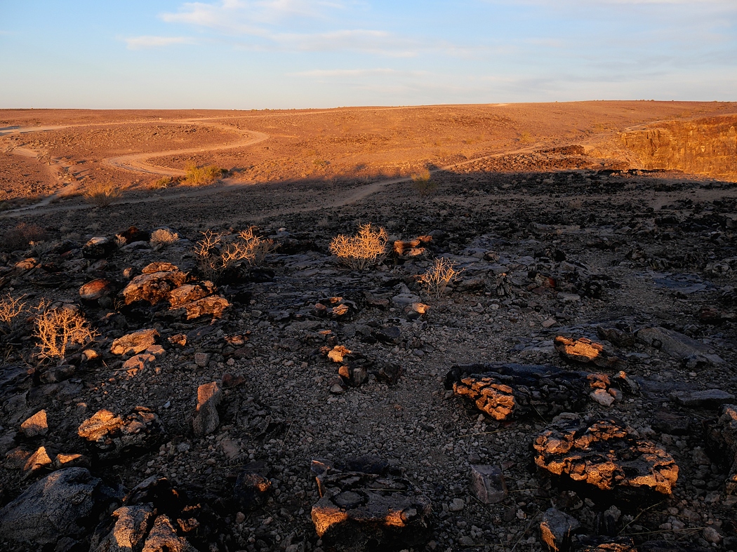 P1011711aklein.jpg