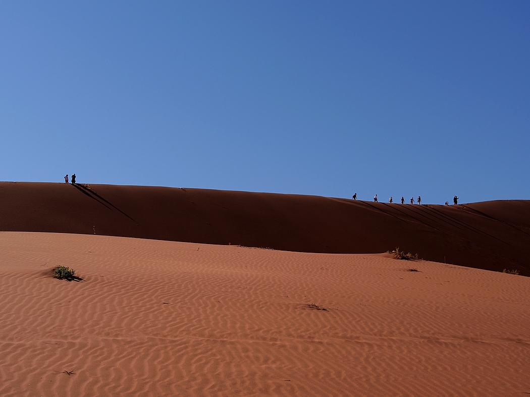P1011738aklein.jpg