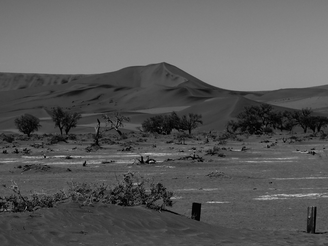 P1011771swklein.jpg