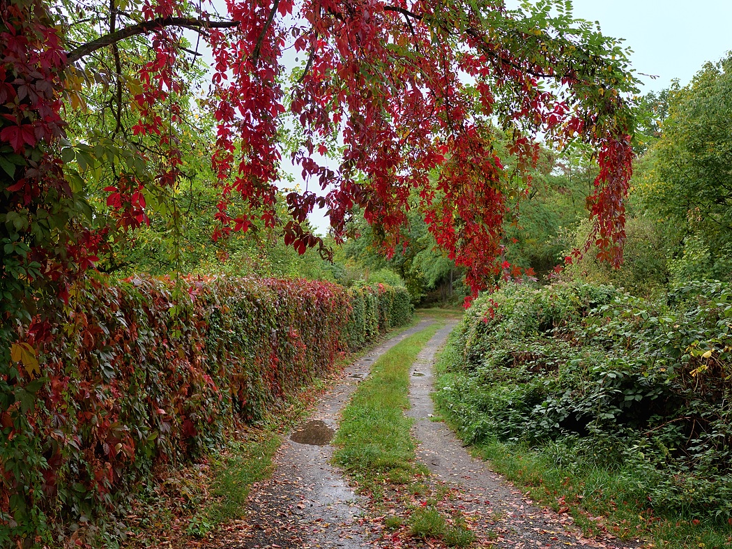 P1012229aklein.jpg
