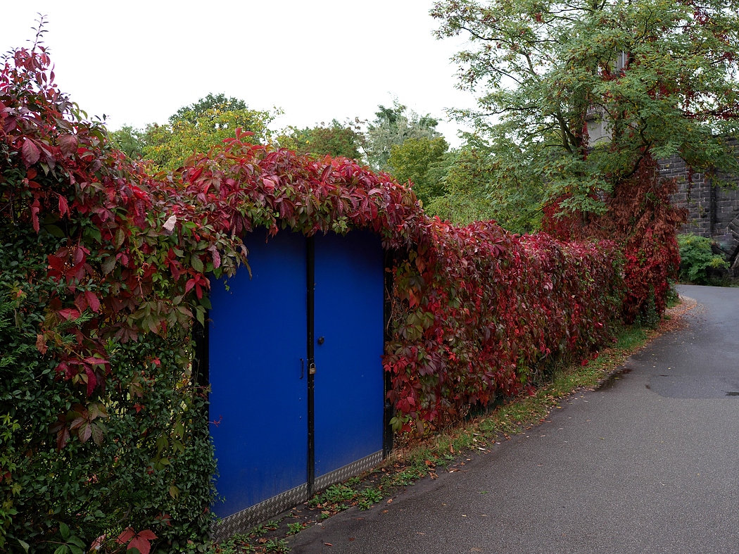 P1012231aklein.jpg