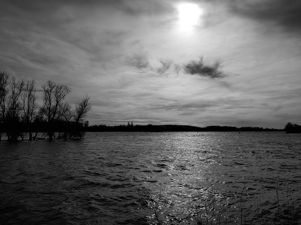 P1022888asw_klein.jpg