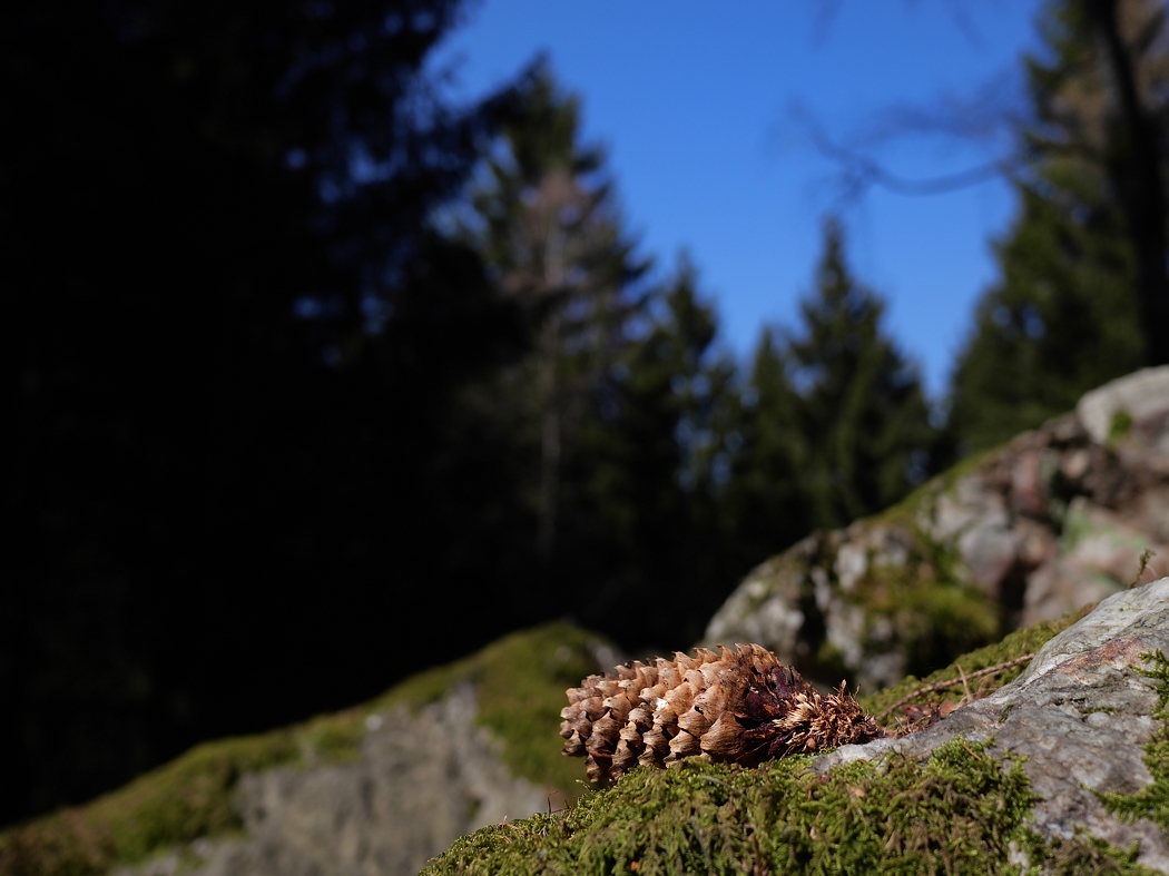 P1023198a_klein.jpg
