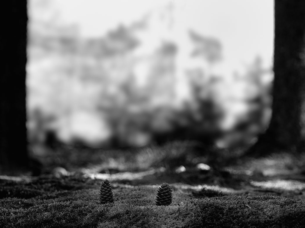 P1023228a_klein.jpg
