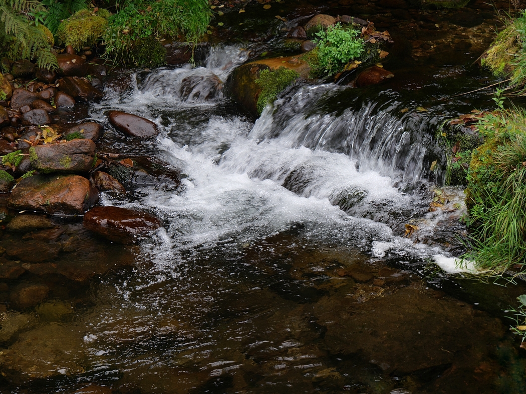 P1024514a_klein2.jpg