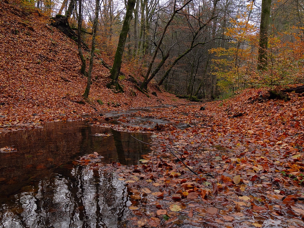 P1025003a_klein.jpg