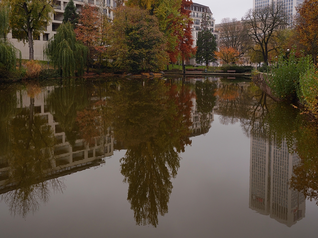 P1025056a_klein.jpg