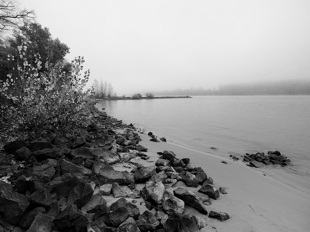 P1025073a_klein_sw.jpg