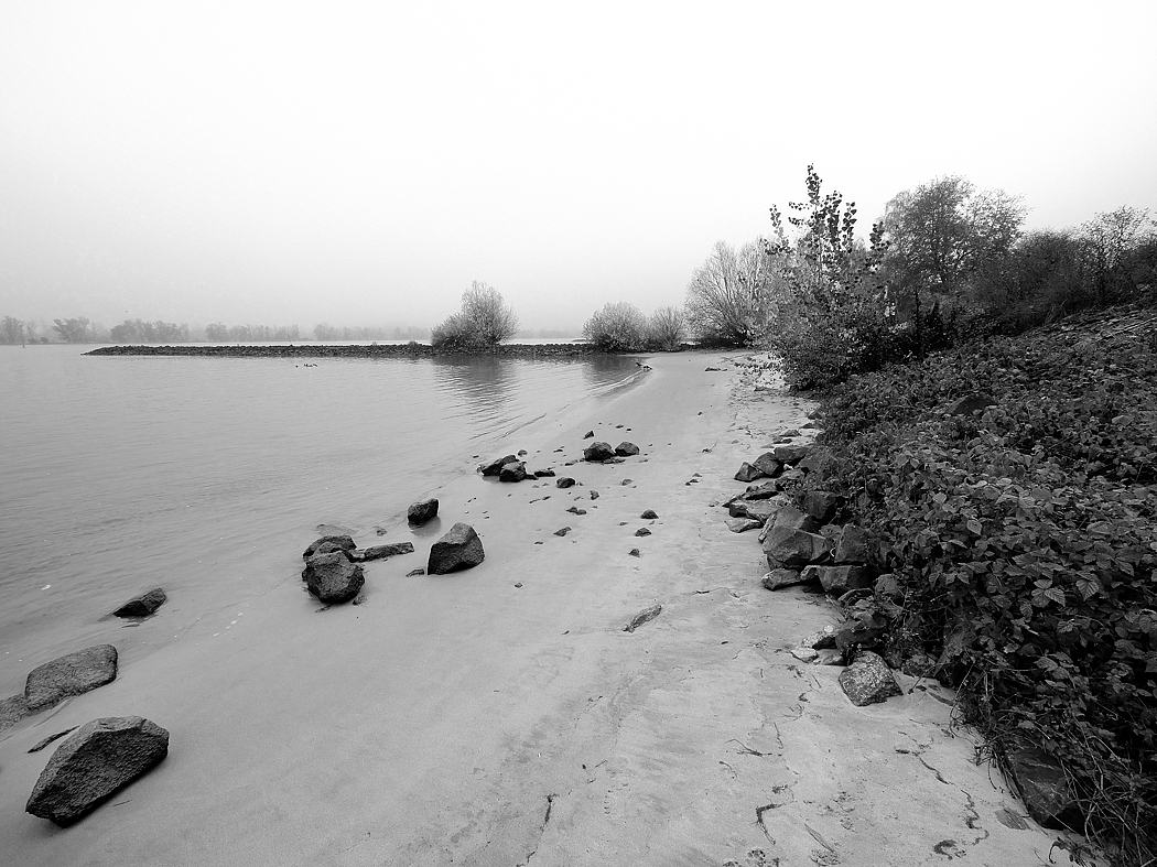 P1025074a_klein_sw.jpg