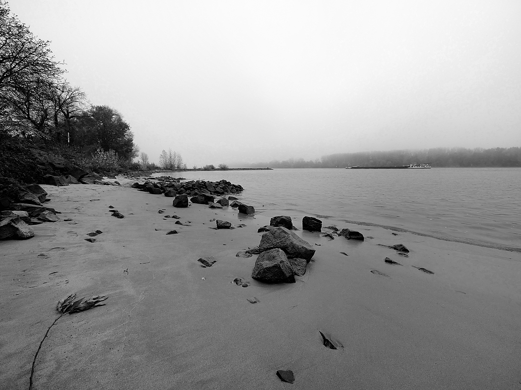P1025086a_klein_sw.jpg