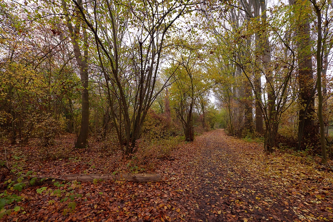 P1025090a_klein.jpg