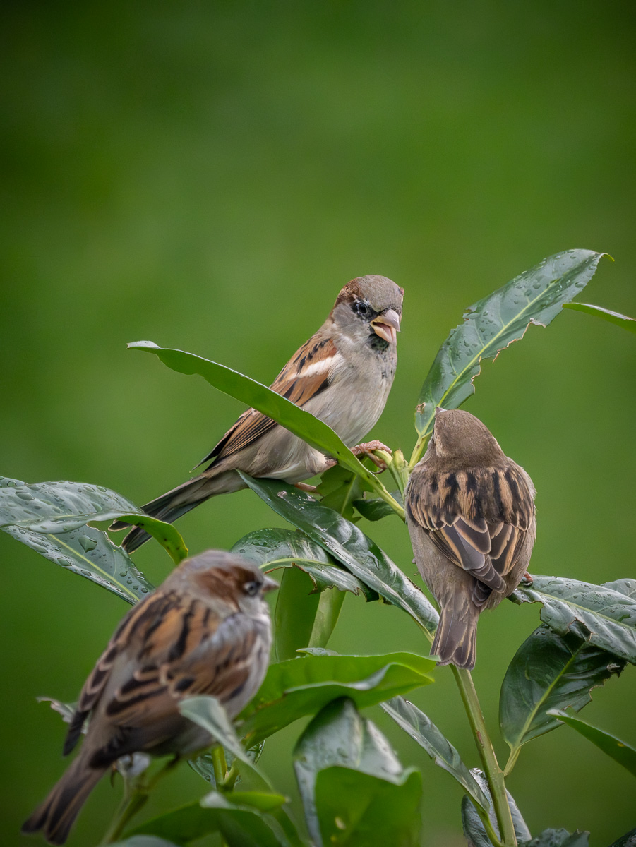 P1028942-2.jpg