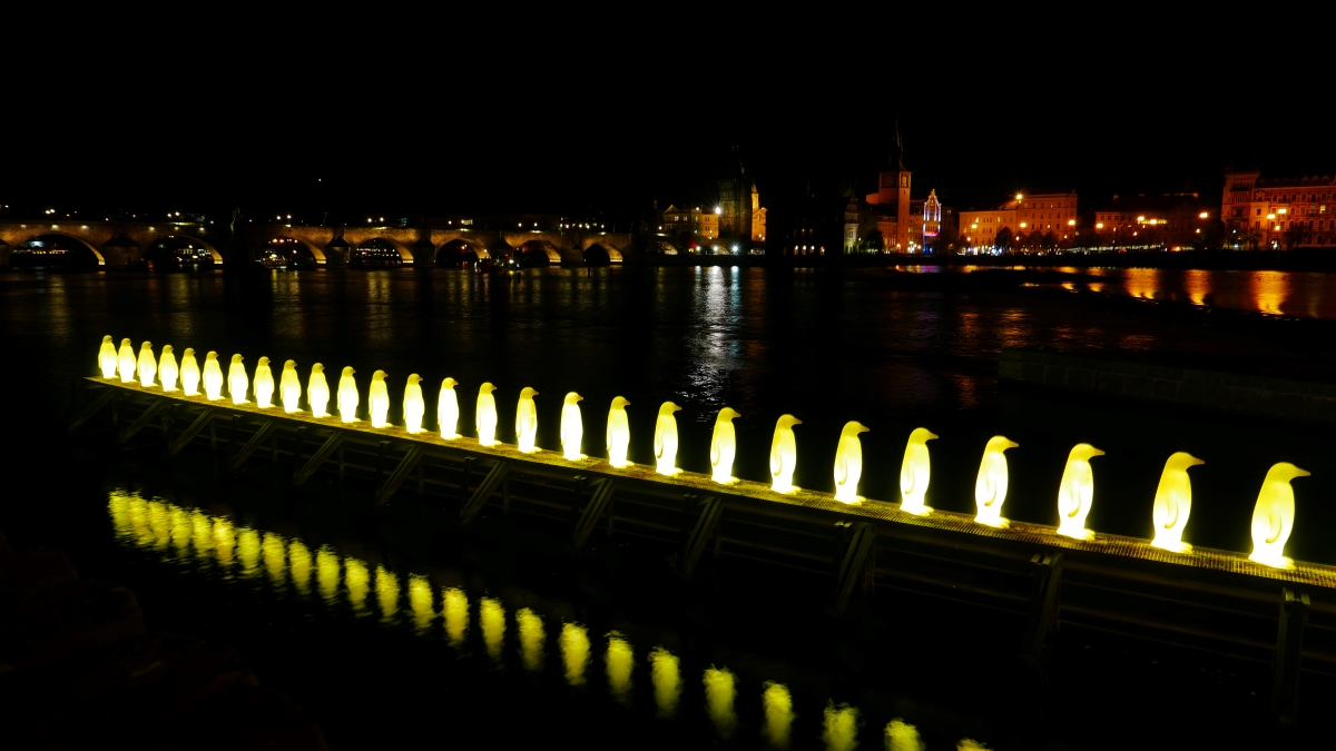 P1030390n.JPG