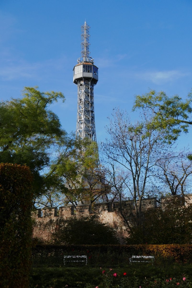 P1030563n.JPG