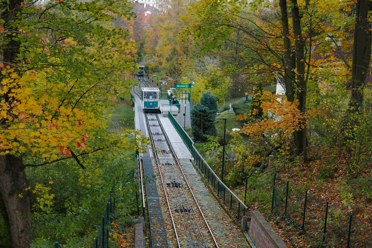 P1030590n1.JPG