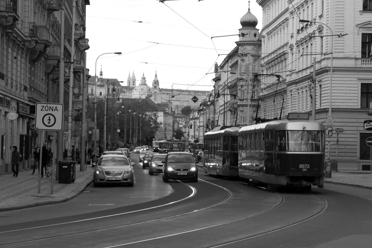P1030611n.JPG