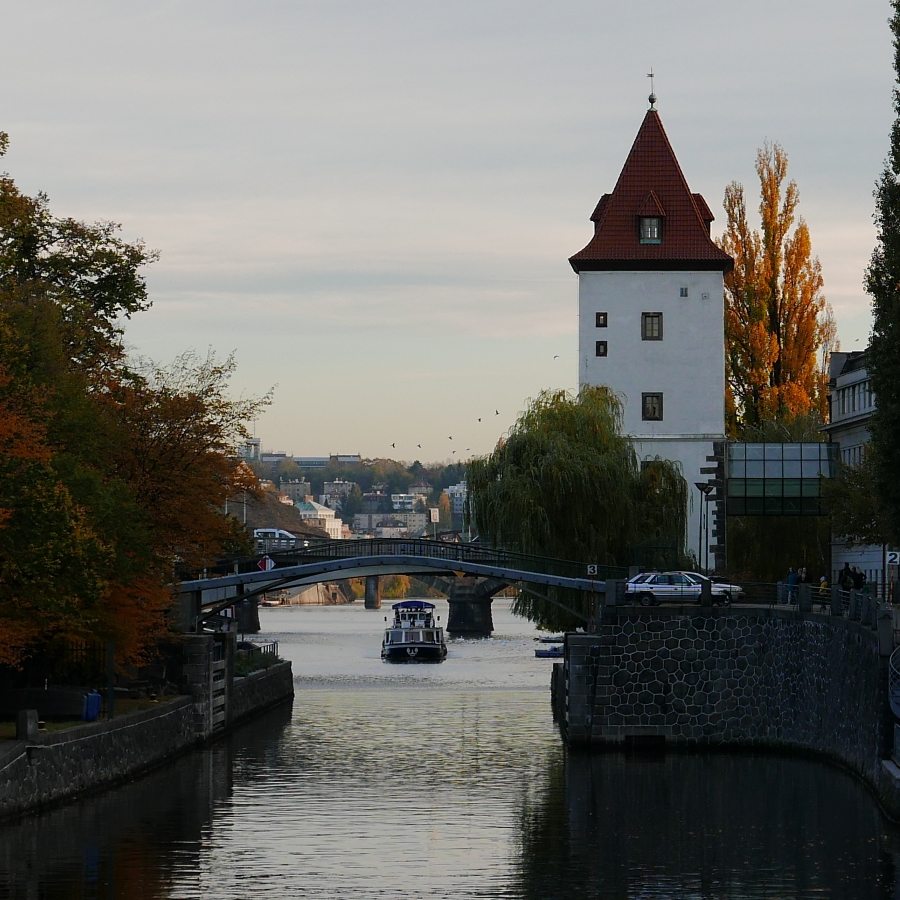 P1030614n.JPG