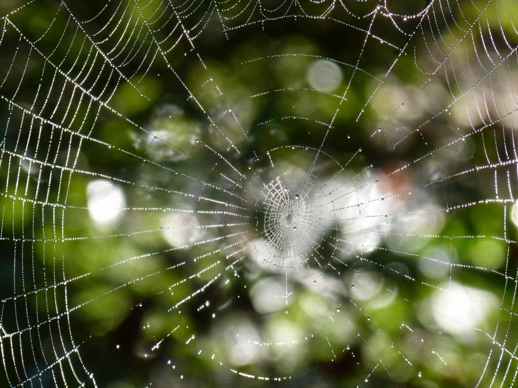 P1030824 (1024x768)
