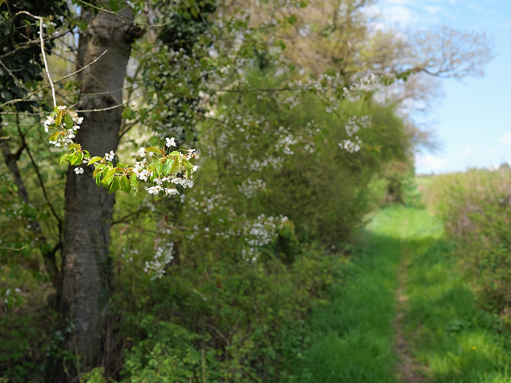 P1049293aklein.jpg
