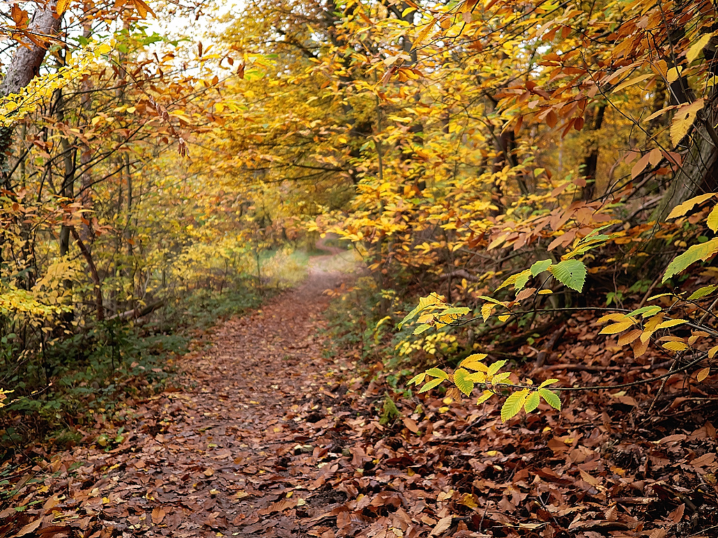 P1049426a_klein.jpg