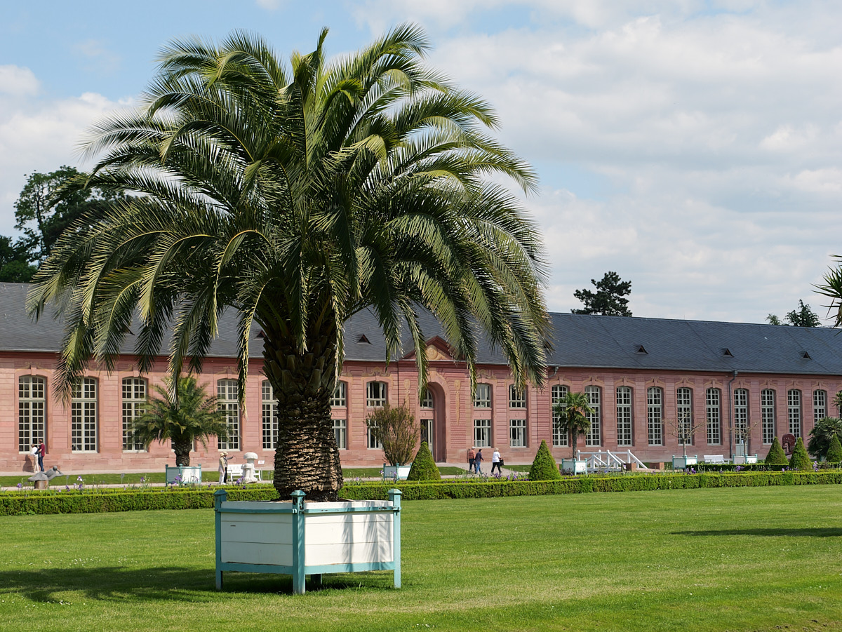 P1050746.jpg
