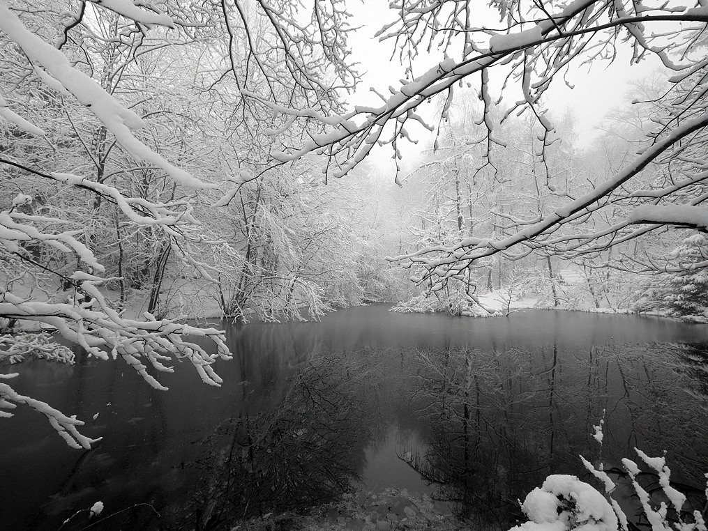 P1060452 web kleina