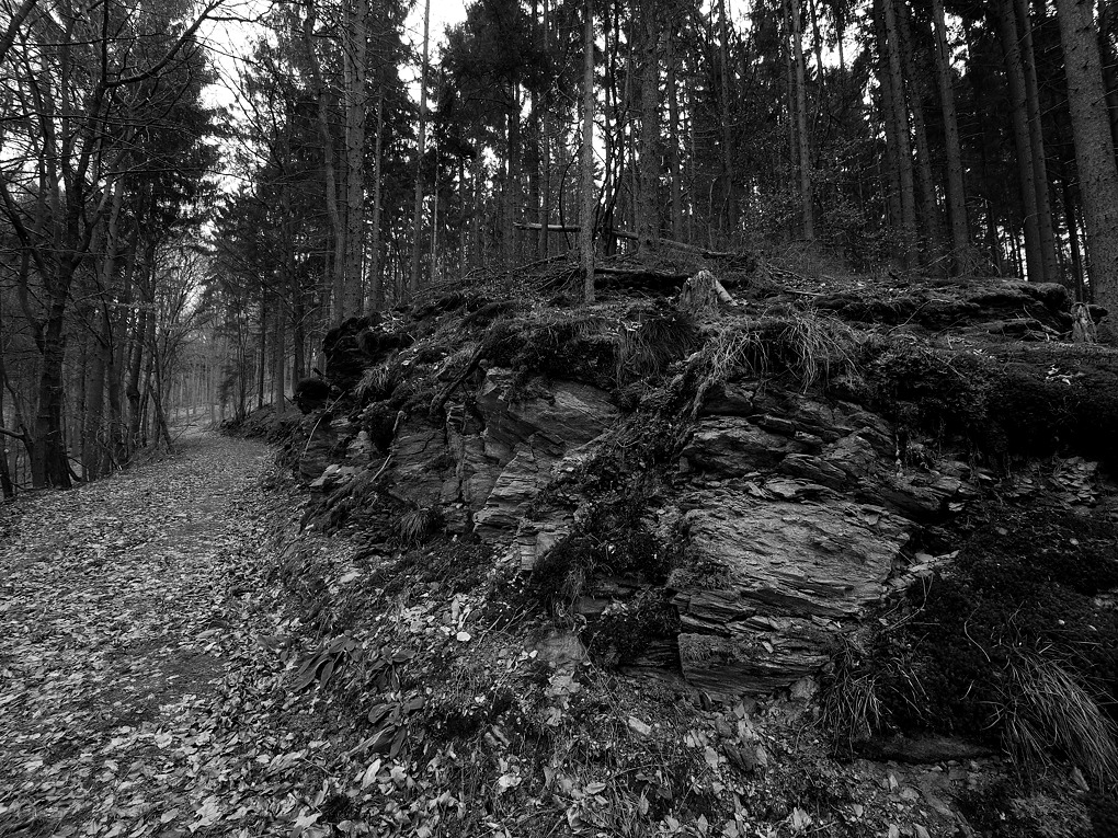 P1060715aklein
