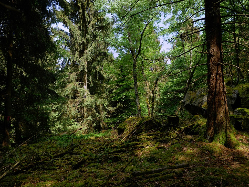 P1060817aklein