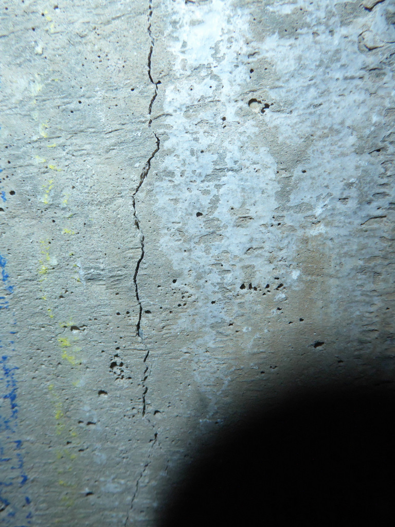 P1070037
