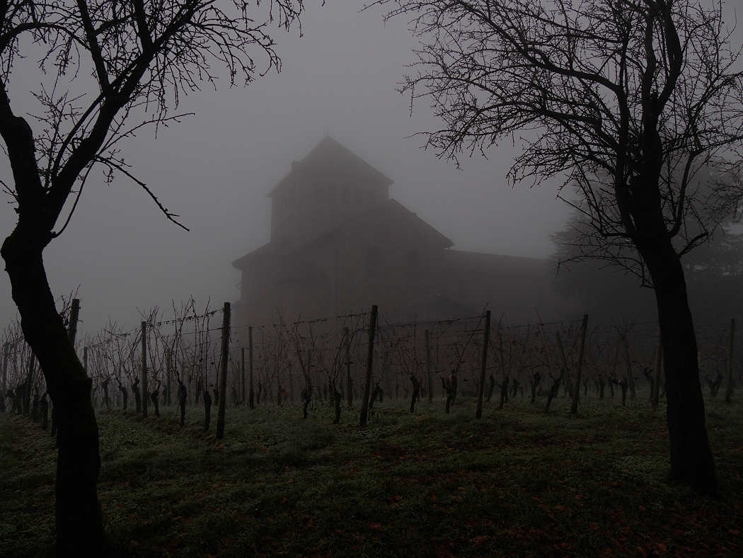 P1070698a_klein.jpg