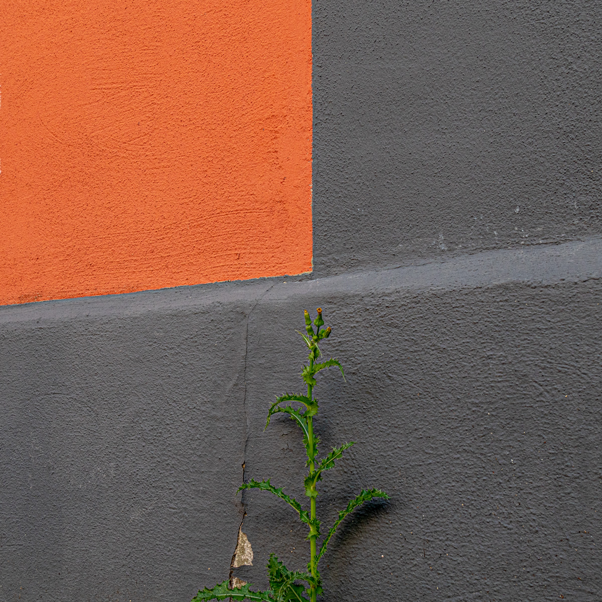 P1080442.jpg