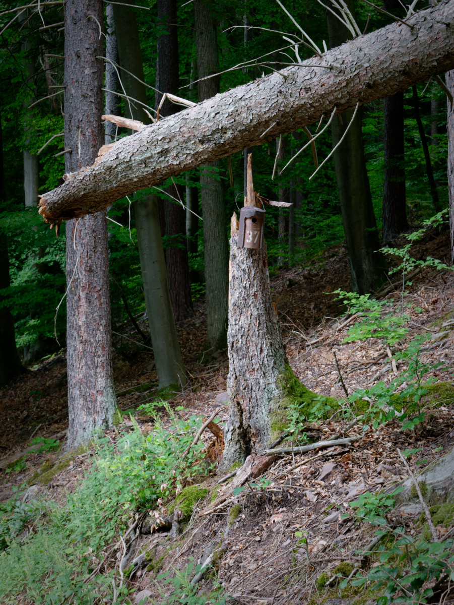 P1099532_DxO.jpg