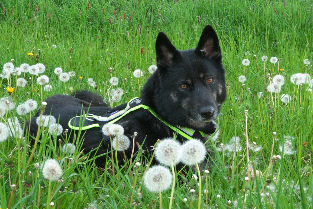 P1100231.jpg