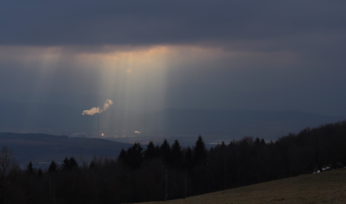 P1140080n.jpg
