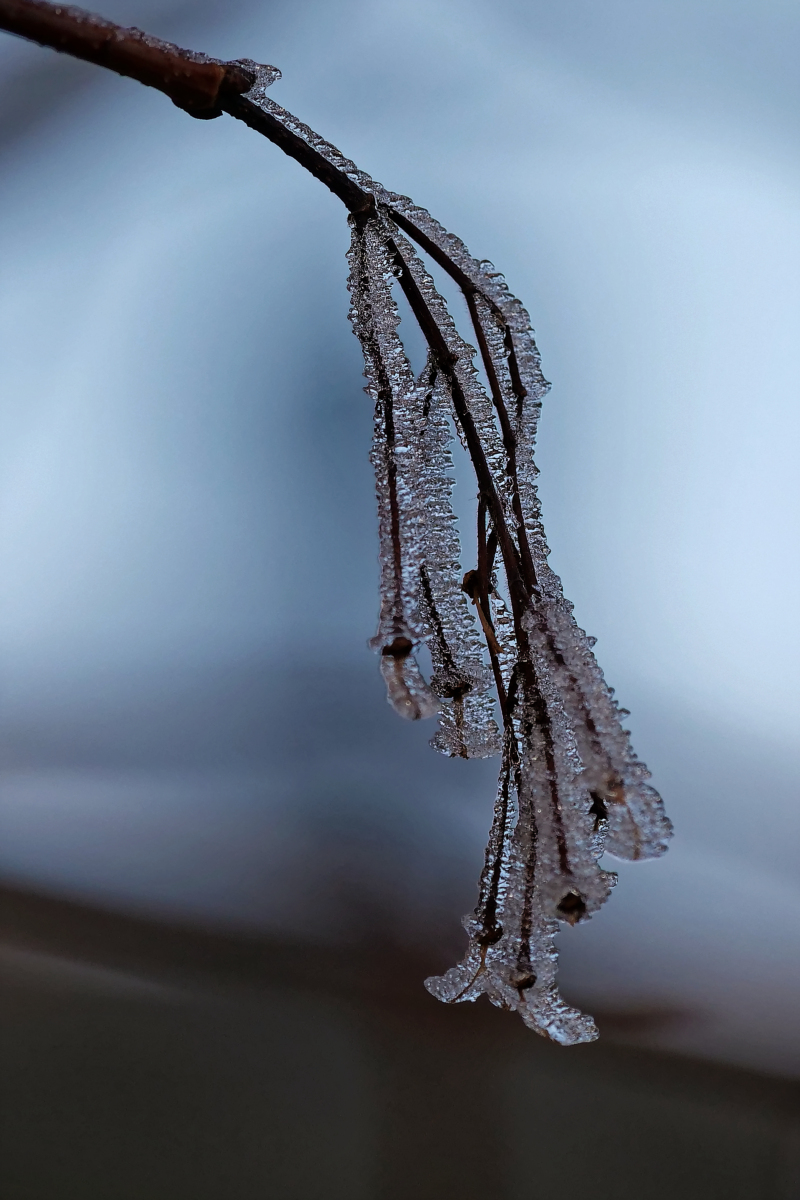 P1181119_DxOHAxl.jpg