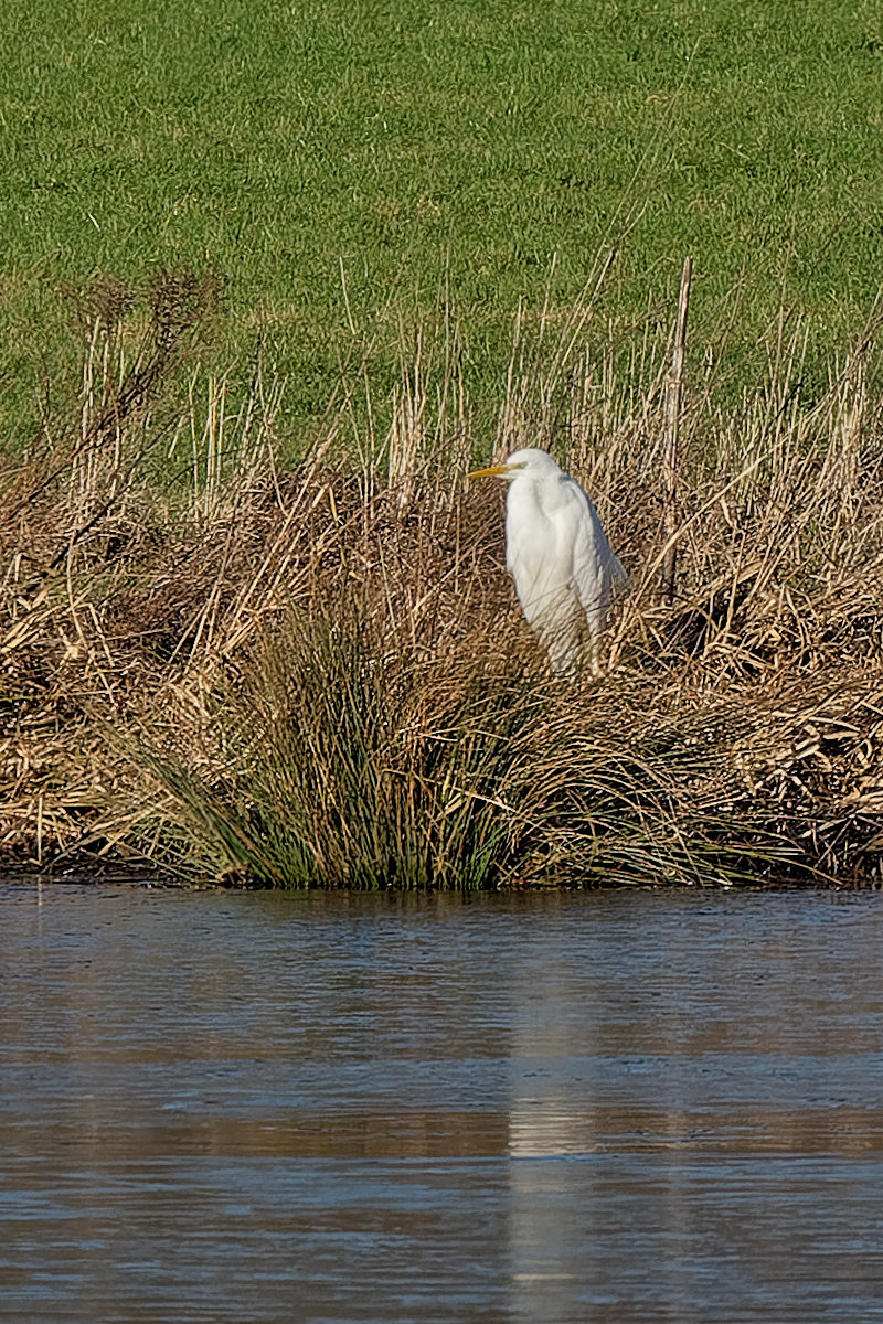 P1181133_DxOHAAxl.jpg