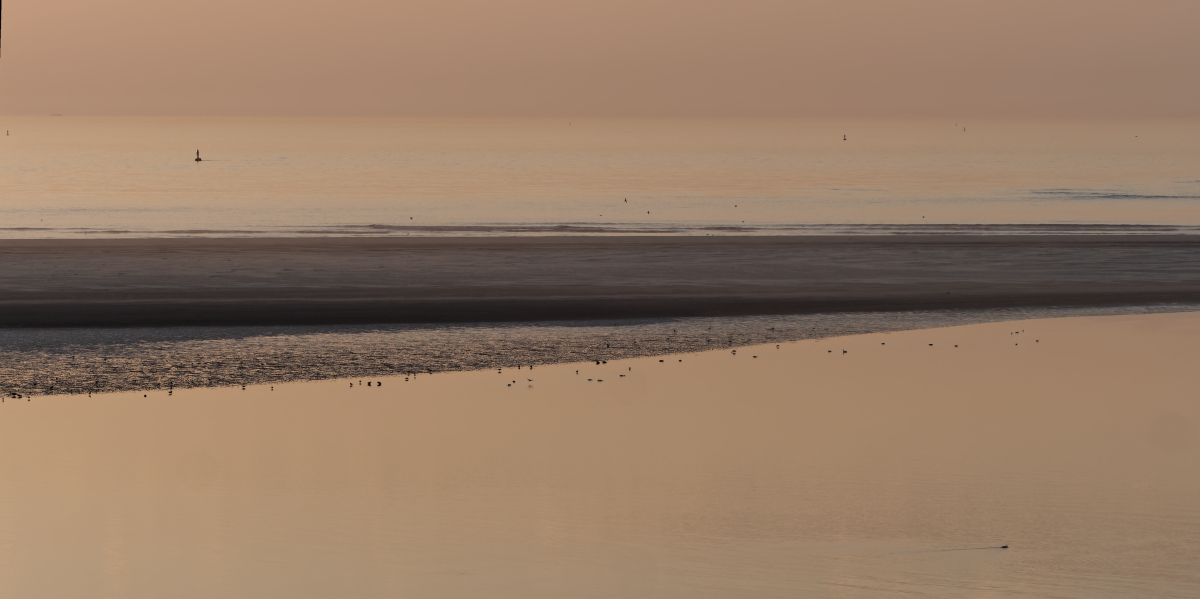 P1181184_DxOPAxl.jpg