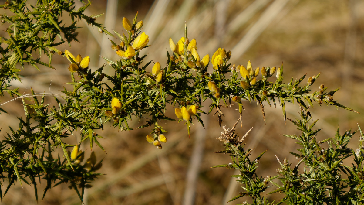 P1181312_DxOPAxl.jpg