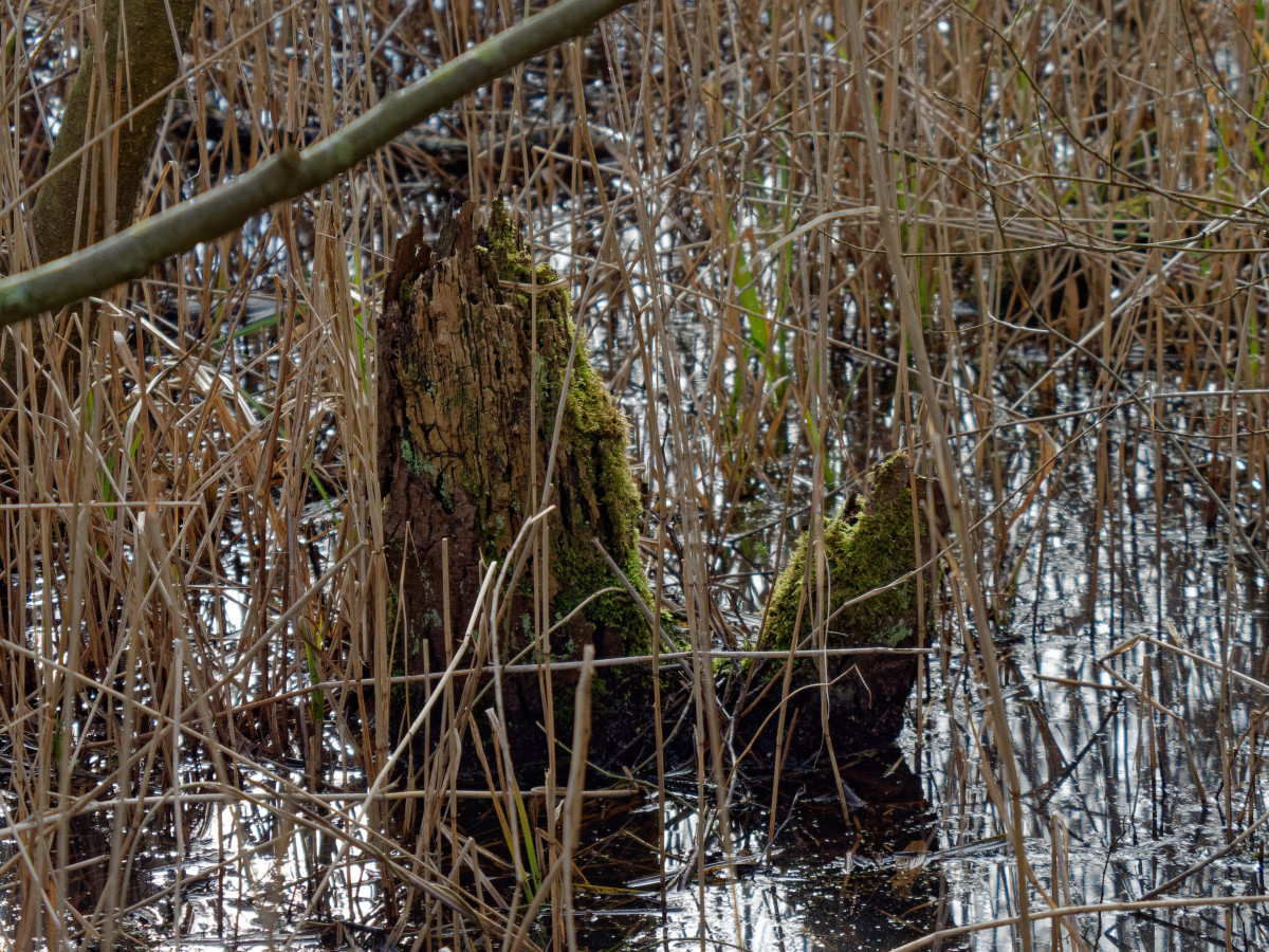 P1181325_DxOPxl.jpg