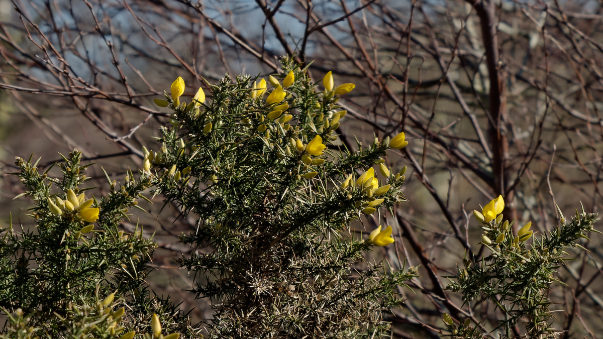 P1181402_DxOPAxl.jpg