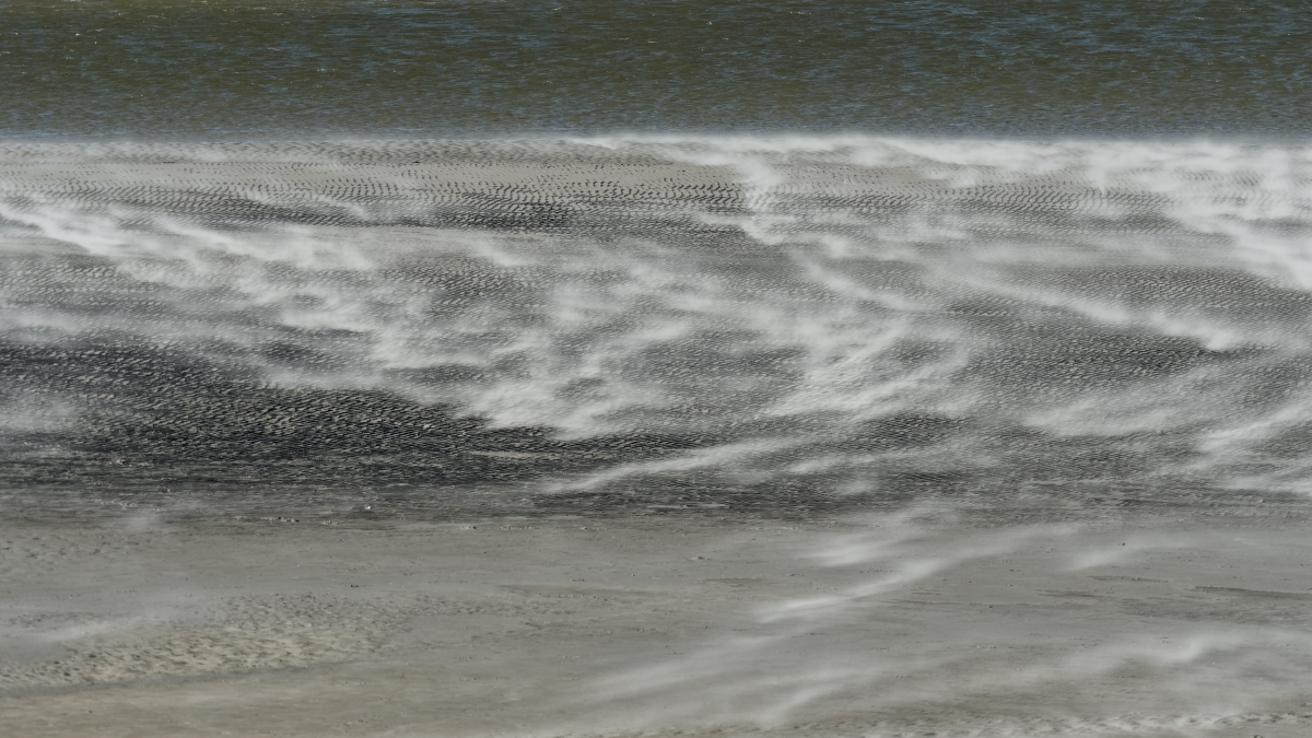 P1181728_DxOPxl.jpg
