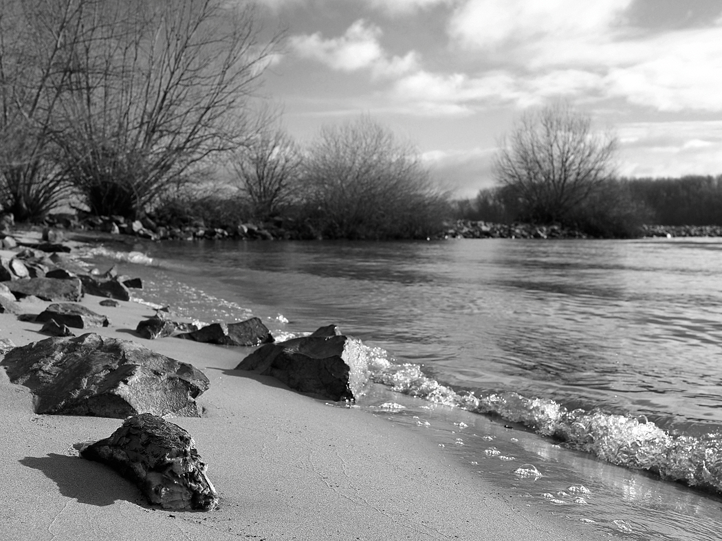 P1210879a_sw_klein.jpg