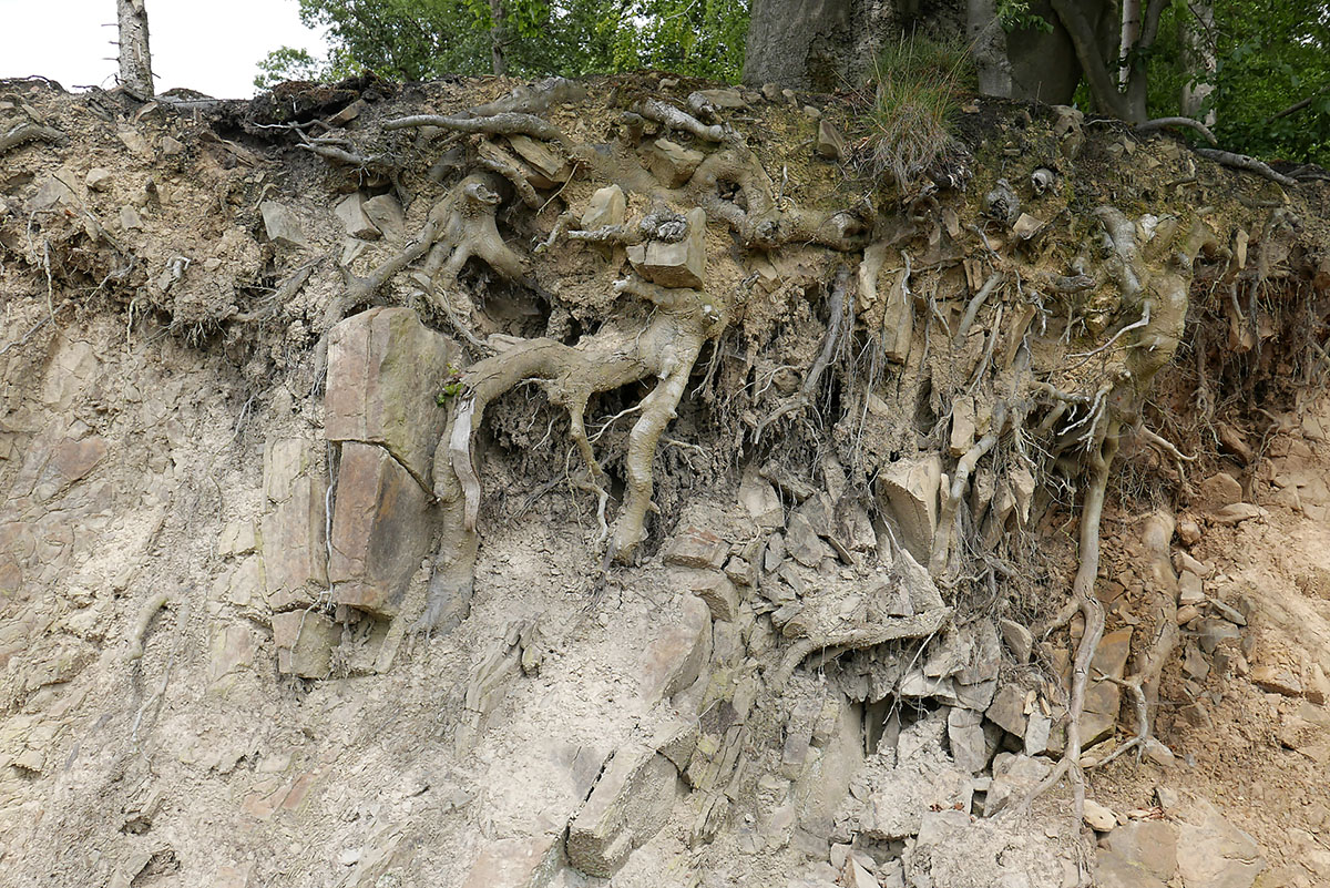 P1220440Kxl.jpg