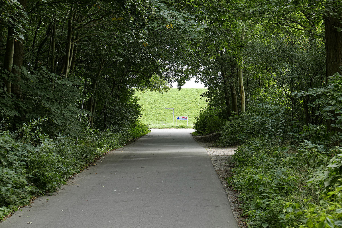 P1220737Sxl.jpg