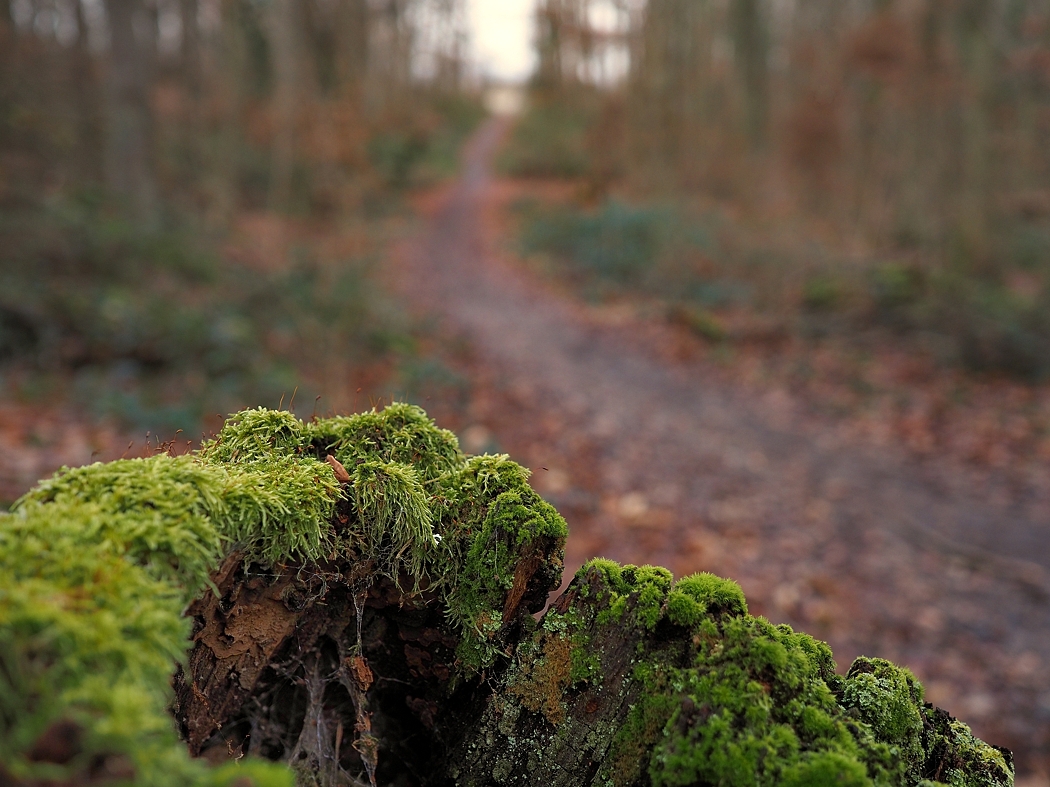 P1220944a_klein.jpg