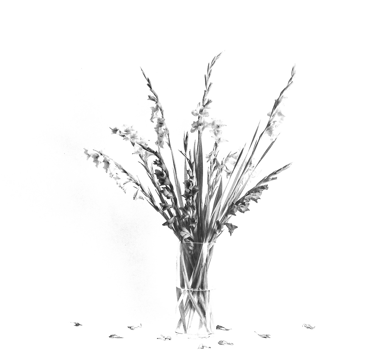 P1280028-Edit Kopie.jpg