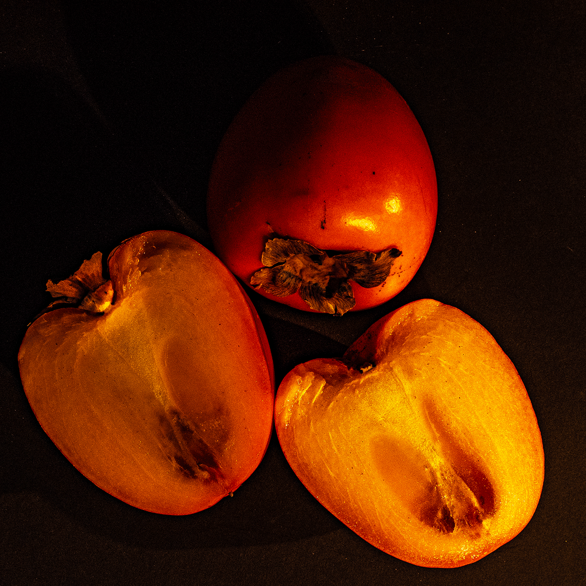 P2160027.gif