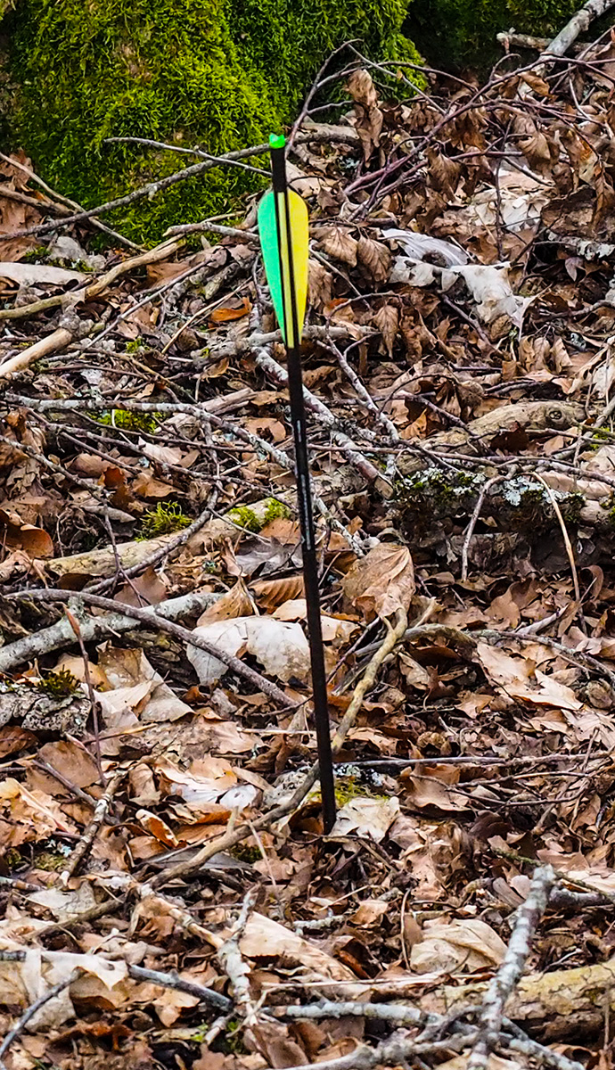 P3030028-Edit.jpg